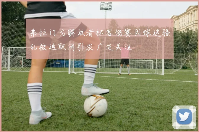 弗拉门戈解放者杯客场赛因球迷骚乱被迫取消引发广泛关注